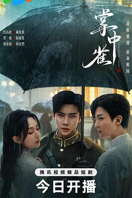 《掌中雀》：命运交织的禁忌之恋与情感救赎